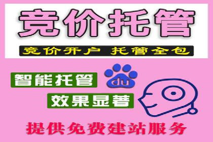 大数据分析在竞价广告中的应用